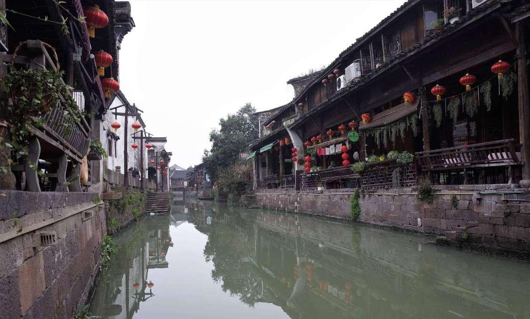 春雨直播app